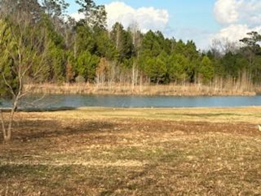 301 Crimson Road Cowarts, AL 36321 - Photo 4 of 9