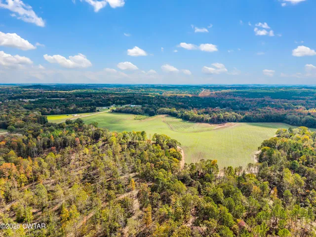 a view of a lake with a city