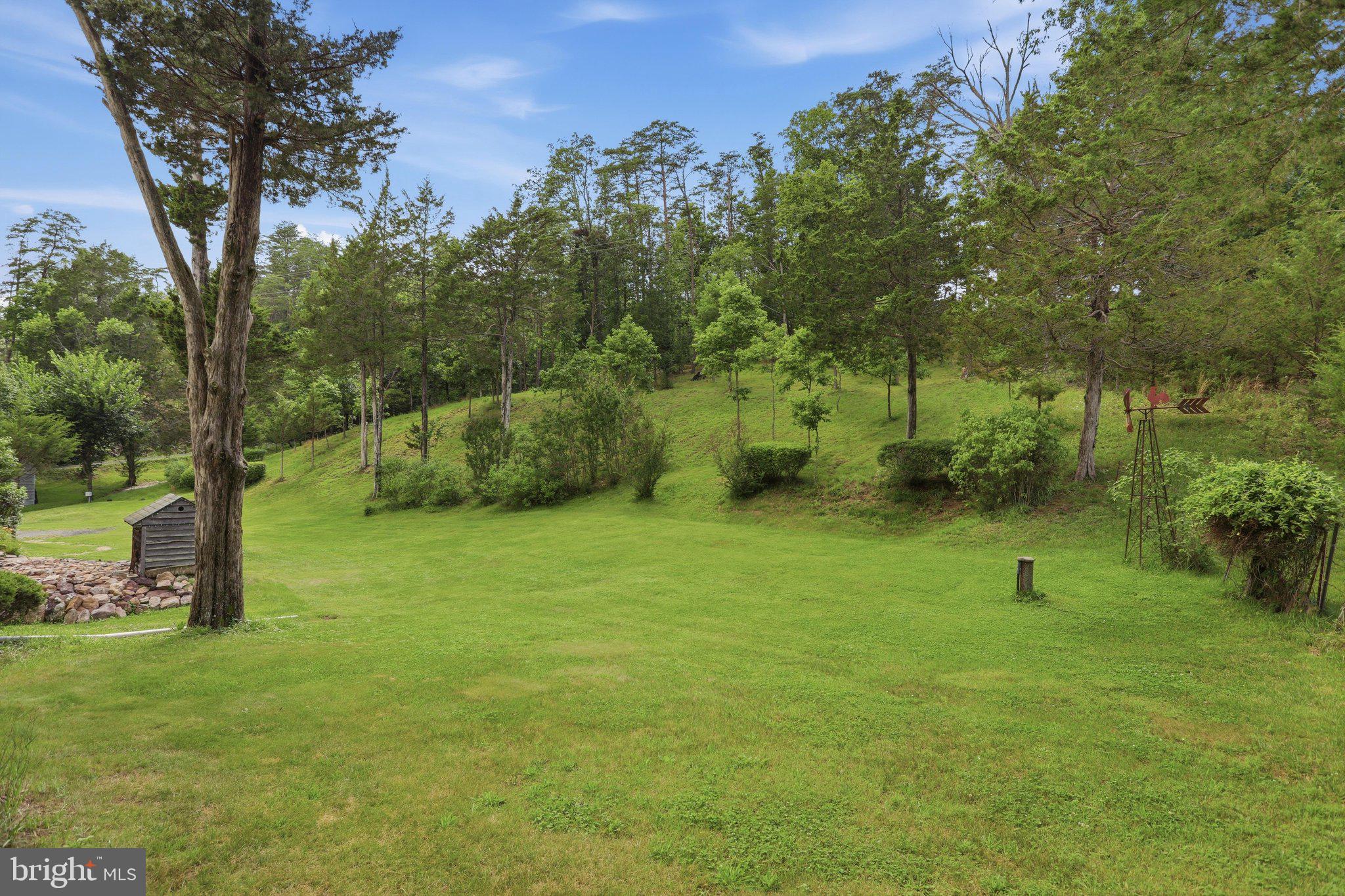 6223 Fort Valley Road Fort Valley, VA 22652 - Photo 4 of 51