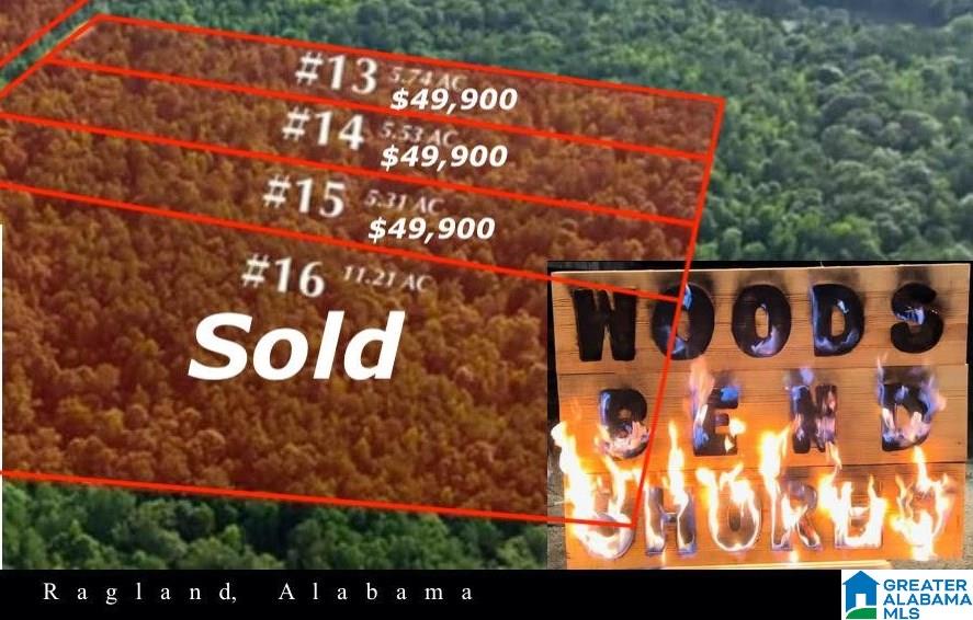 Lot 14 Wester Road, Unit LOT 14 Ragland, AL 35131 - Photo 1 of 8