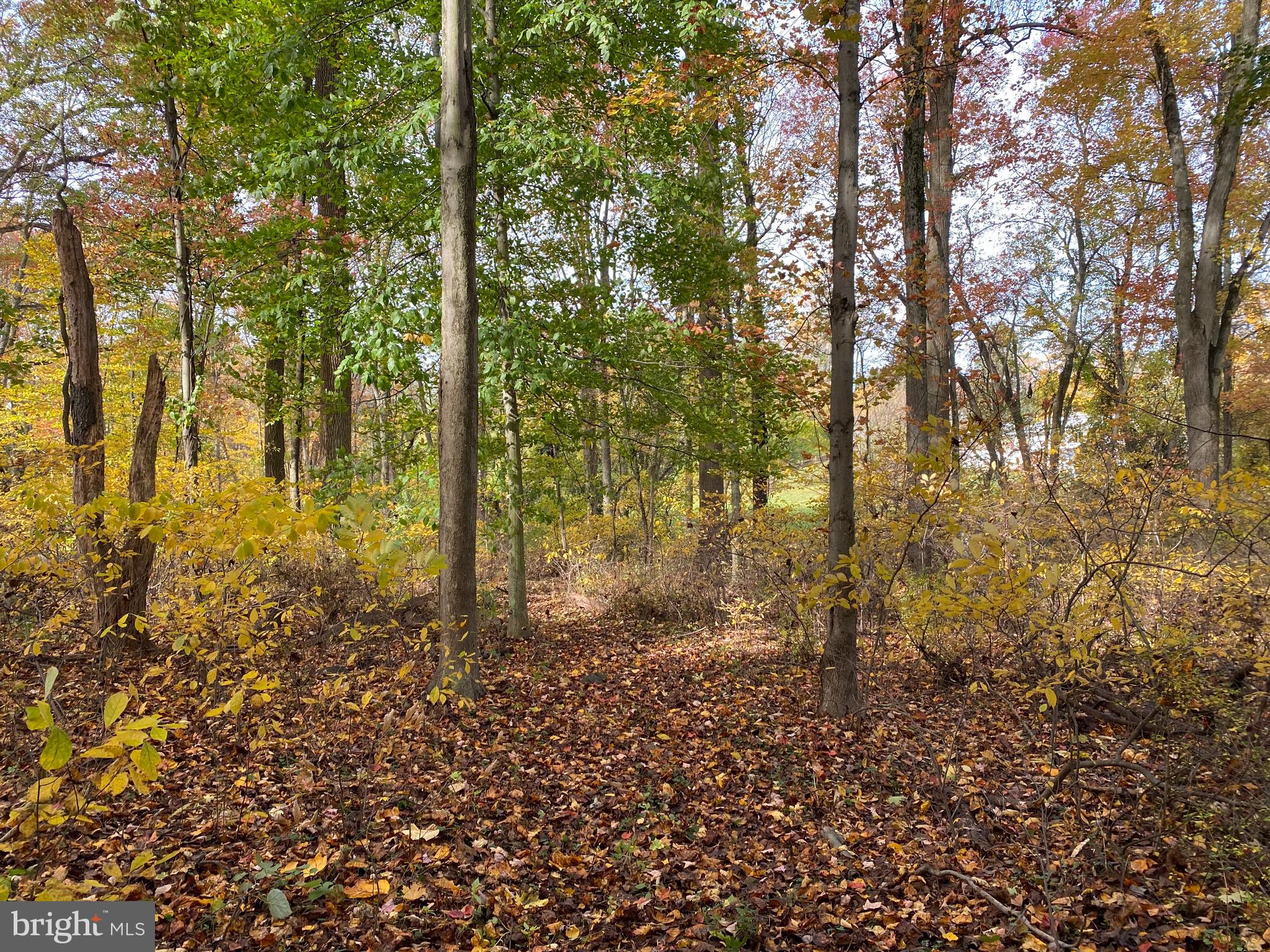 0 Valley Road Newtown Square, PA 19073 - Photo 1 of 1 Gallery Image 1