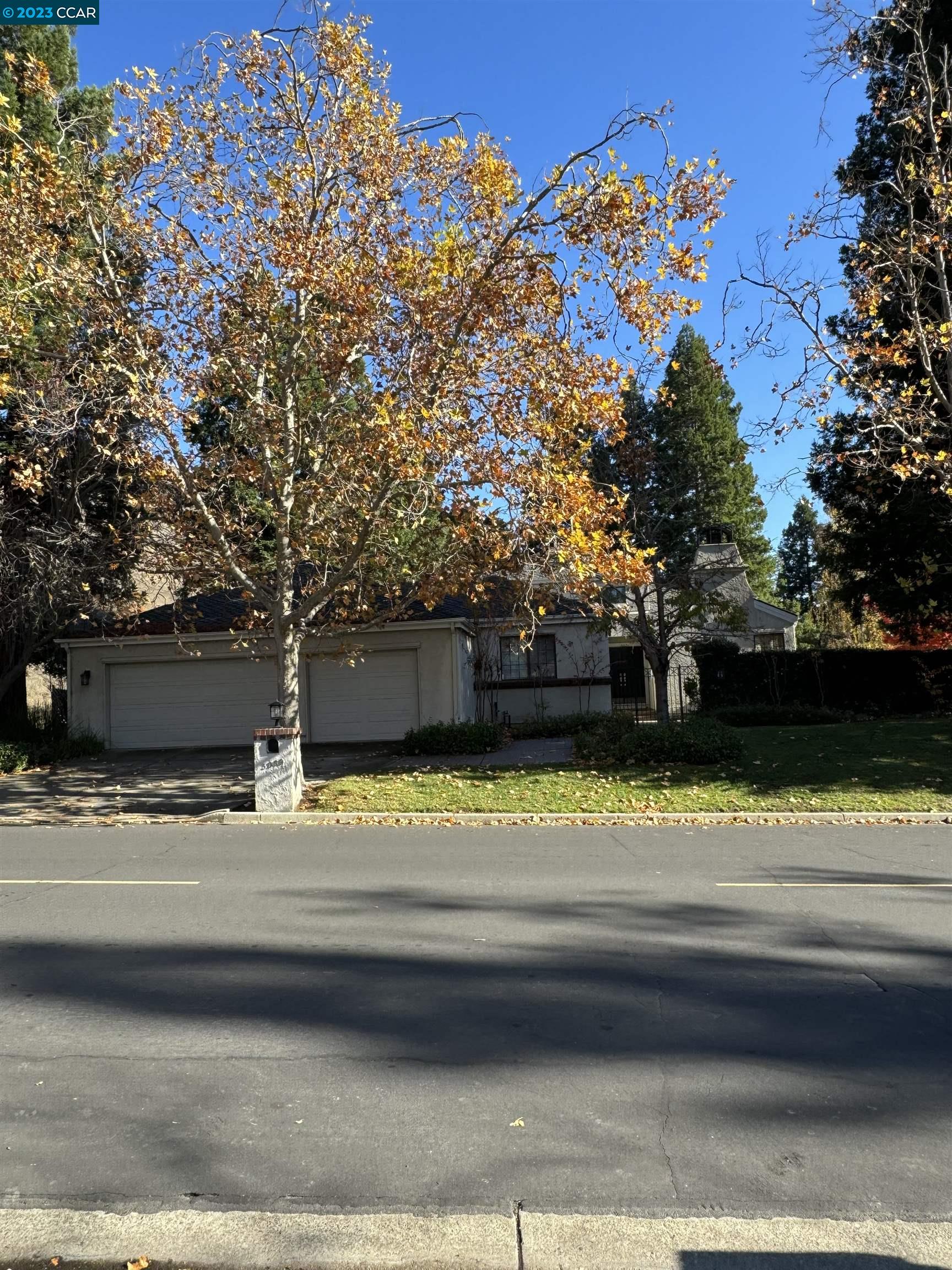 a view of swimming pool with a garden