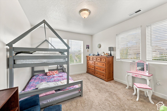 972 Vine Street Mapleton, UT 84664 - Photo 21 of 40 Carpeted flooring, two windows with blinds, and an overhead light fixture