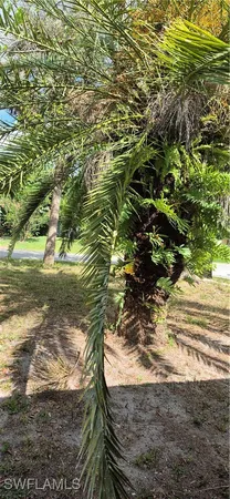 $3,250 | 315 Cleveland Avenue, Lehigh Acres, FL 33936