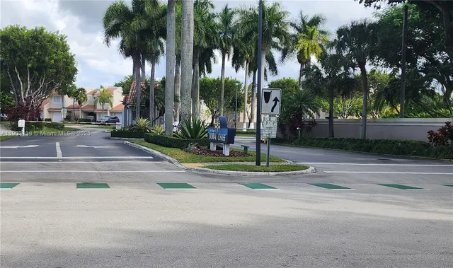 a view of a park with palm trees