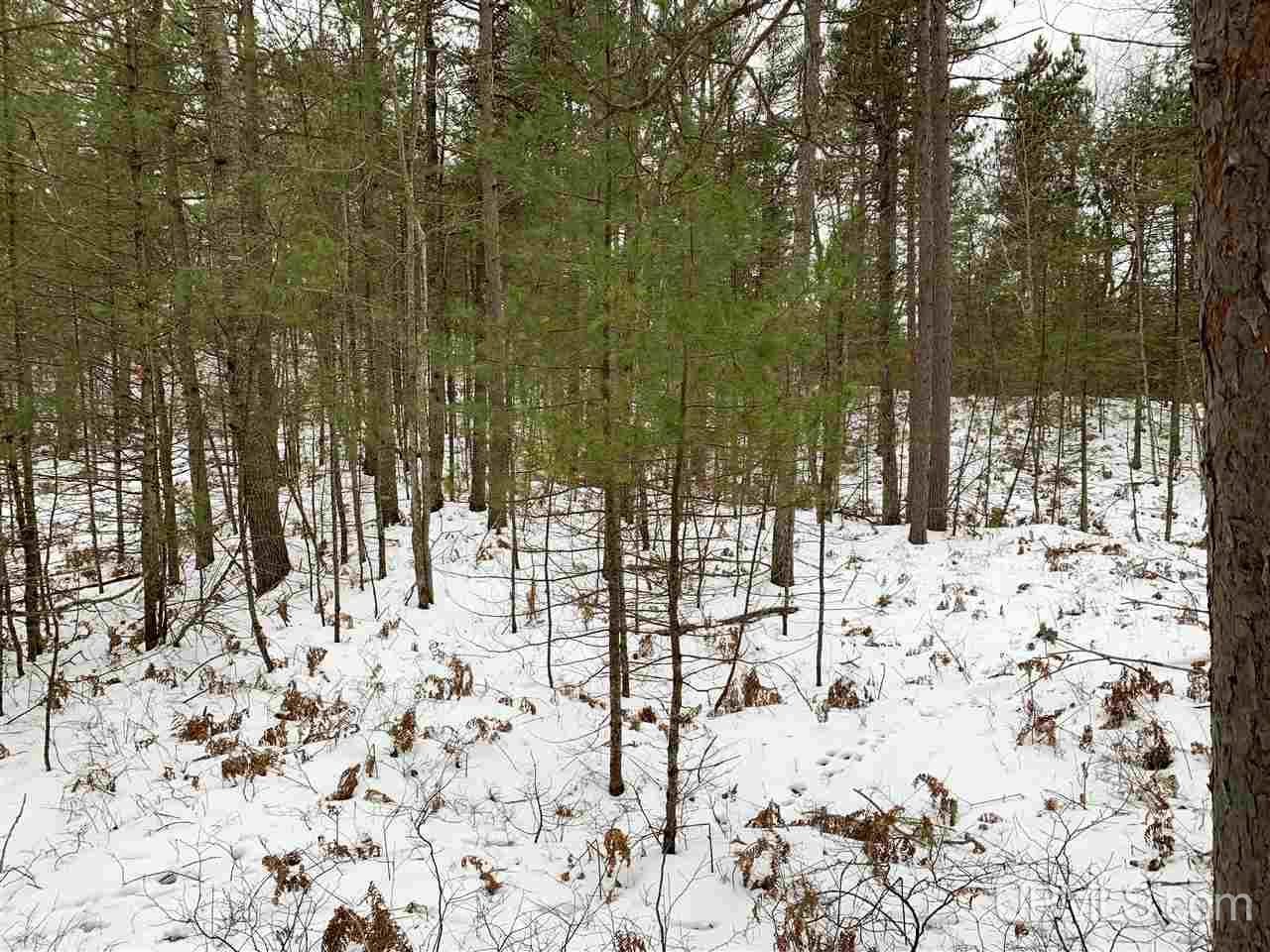 Tbd South Lake Michigan Shores Road Gulliver, MI 49840 - Photo 7 of 13