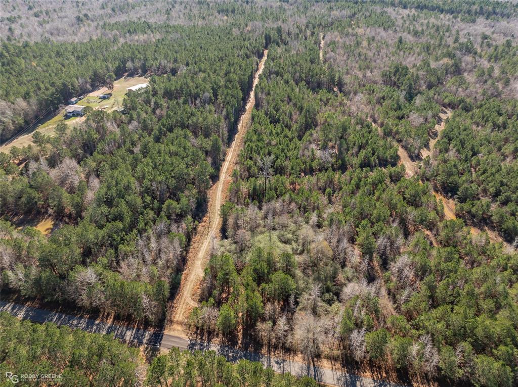 0 Line Road Homer, LA 71040 - Photo 2 of 10 a view of a forest with a building in the background