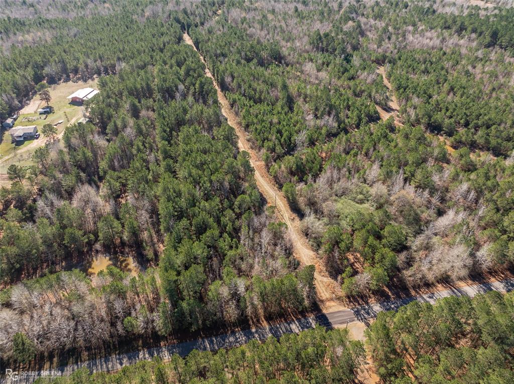 0 Line Road Homer, LA 71040 - Photo 3 of 10 a view of a forest with a tree