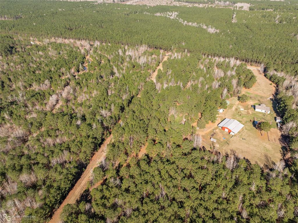 0 Line Road Homer, LA 71040 - Photo 4 of 10