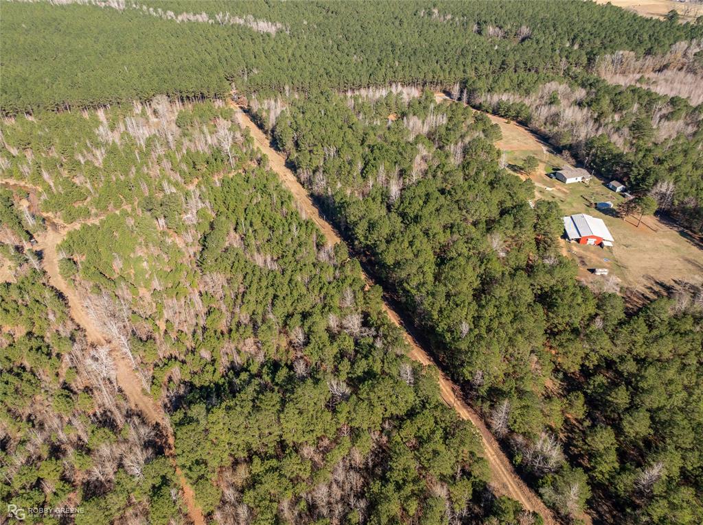 0 Line Road Homer, LA 71040 - Photo 6 of 10