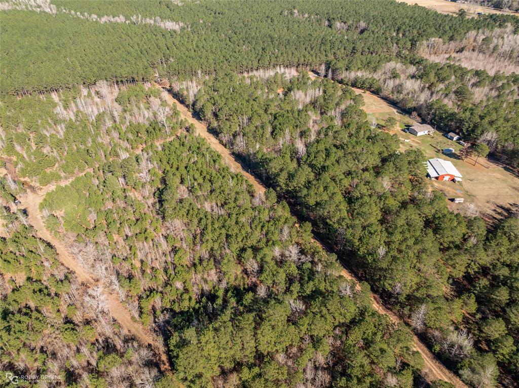 0 Line Road Homer, LA 71040 - Photo 7 of 10 a view of a yard with plants and wooden fence