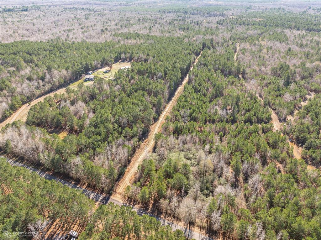 0 Line Road Homer, LA 71040 - Photo 8 of 10 a view of a forest with a lush green forest