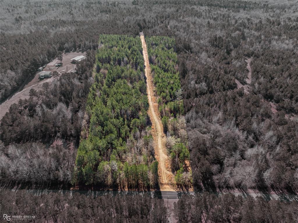 0 Line Road Homer, LA 71040 - Photo 9 of 10 a view of a forest with a yard