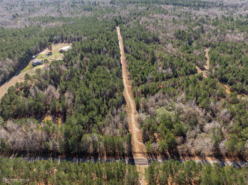0 Line Road Homer, LA 71040 - Photo 10 of 10 a view of a lake and green forest