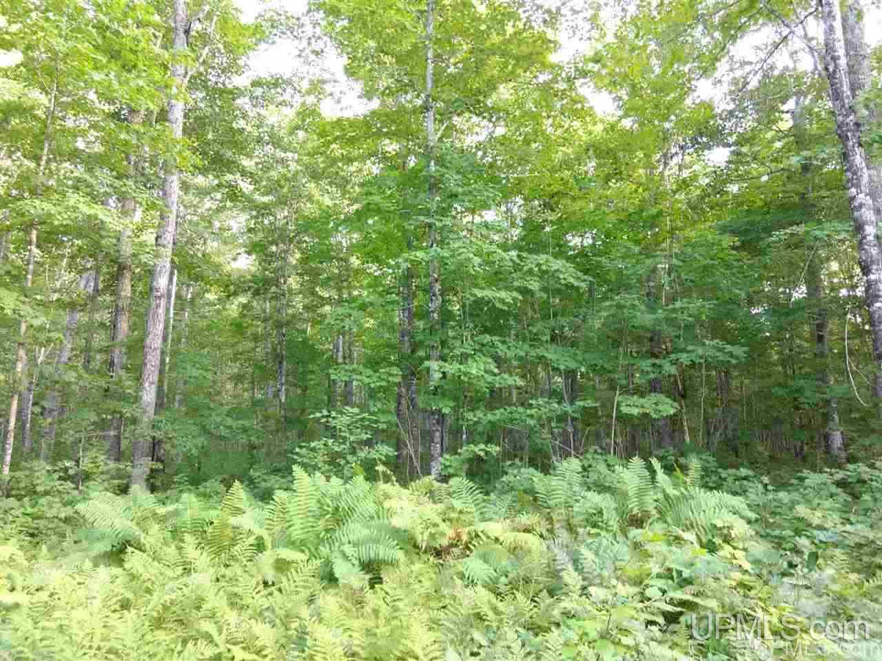 Tbd Sandstone B Road Lake Linden, MI 49945 - Photo 39 of 50
