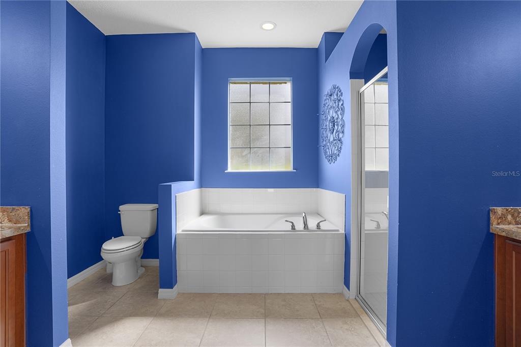 222 Blackstone Creek Road Groveland, FL 34736 - Photo 24 of 49 a bathroom with a bathtub and toilet