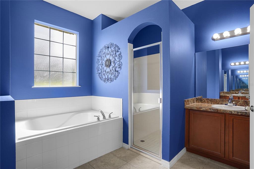 222 Blackstone Creek Road Groveland, FL 34736 - Photo 25 of 49 a bathroom with a tub sink and mirror
