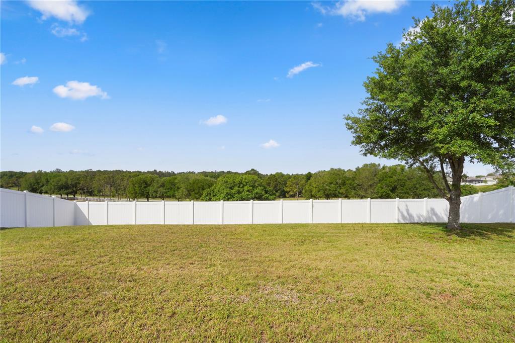 222 Blackstone Creek Road Groveland, FL 34736 - Photo 36 of 49 a view of an ocean with a large tree in the background