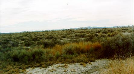 6990 Stillwater Road Fallon, NV 89406 - Photo 1 of 1 Gallery Image 1