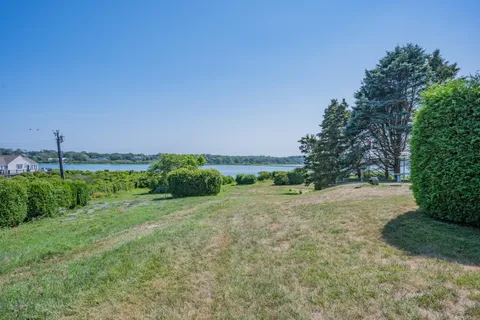 a view of a big yard with palm trees