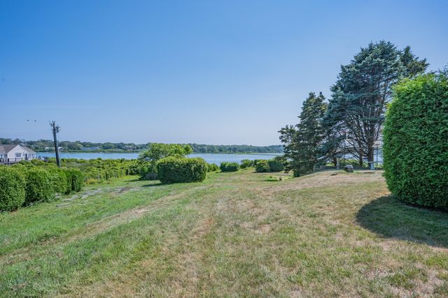 a view of a big yard with palm trees
