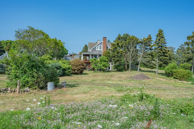 a view of a field with plants and trees