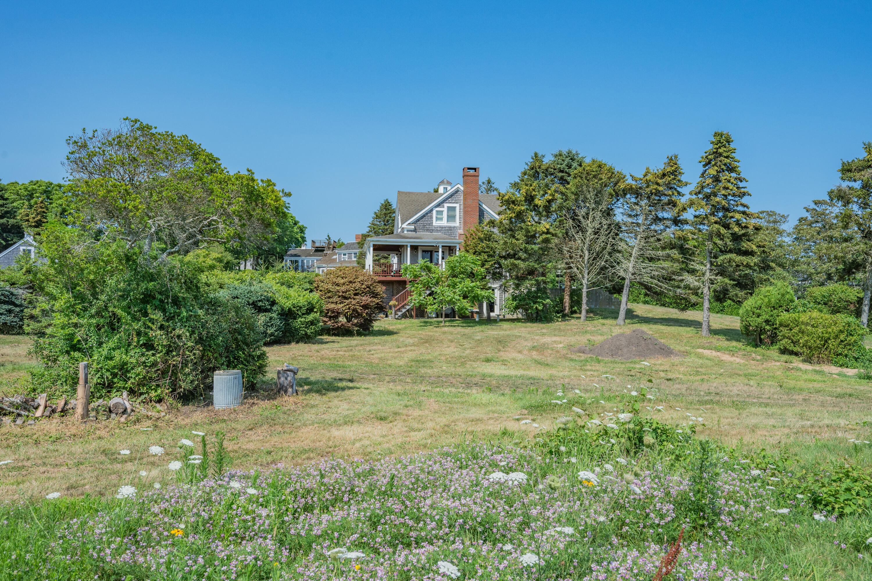 99 Uncle Alberts Drive Chatham, MA 02633 - Photo 18 of 32 a view of a field with plants and trees