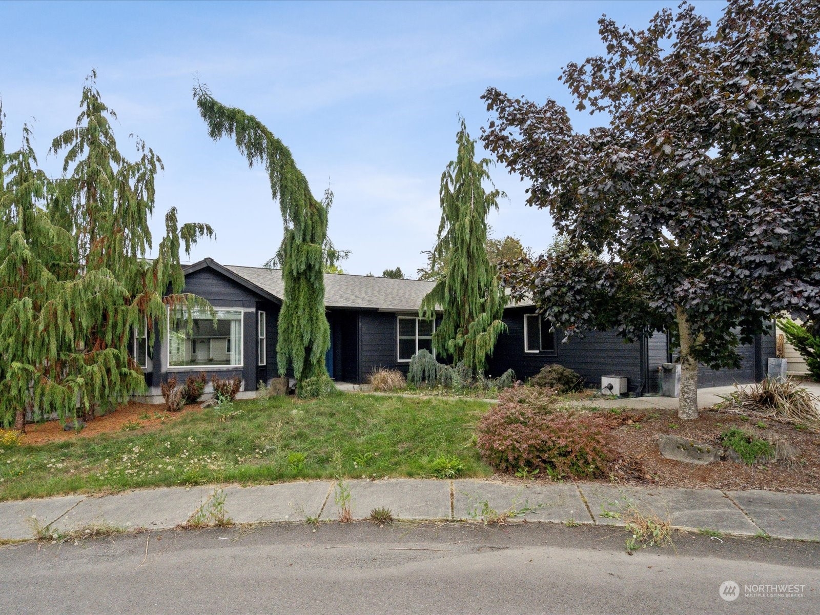 100 Torres Court Sequim, WA 98382 - Photo 1 of 26 a front view of a house with a yard and garage