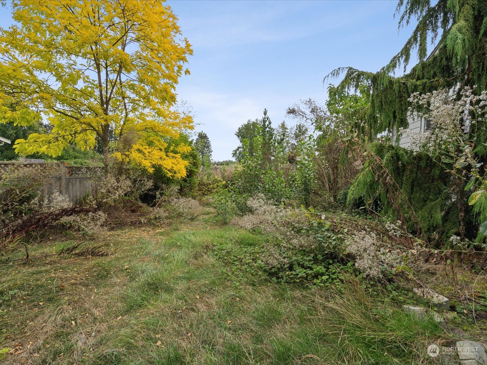 100 Torres Court Sequim, WA 98382 - Photo 26 of 26 a view of a yard