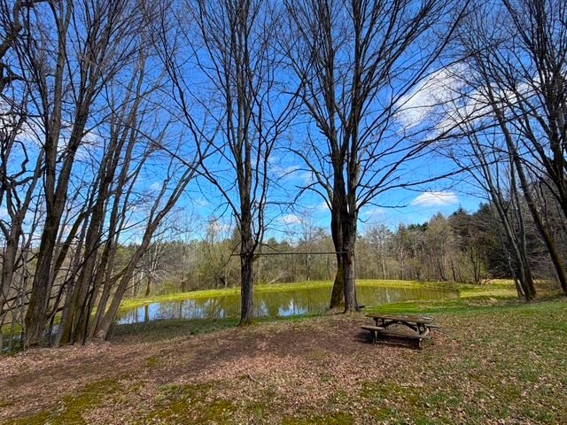 2856 Zimmer Road Scio, NY 14880 - Photo 41 of 50