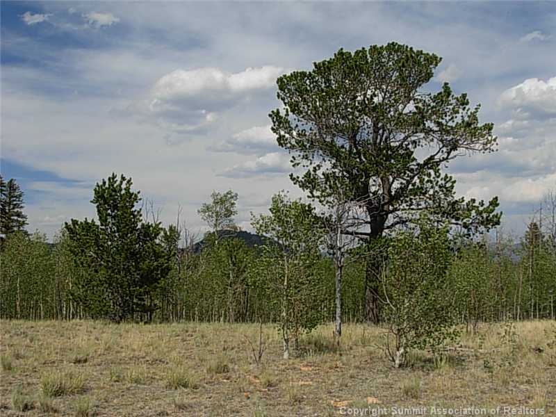 42 Smith And Wesson Road Como, CO 80432 - Photo 6 of 12 Land/Lot.