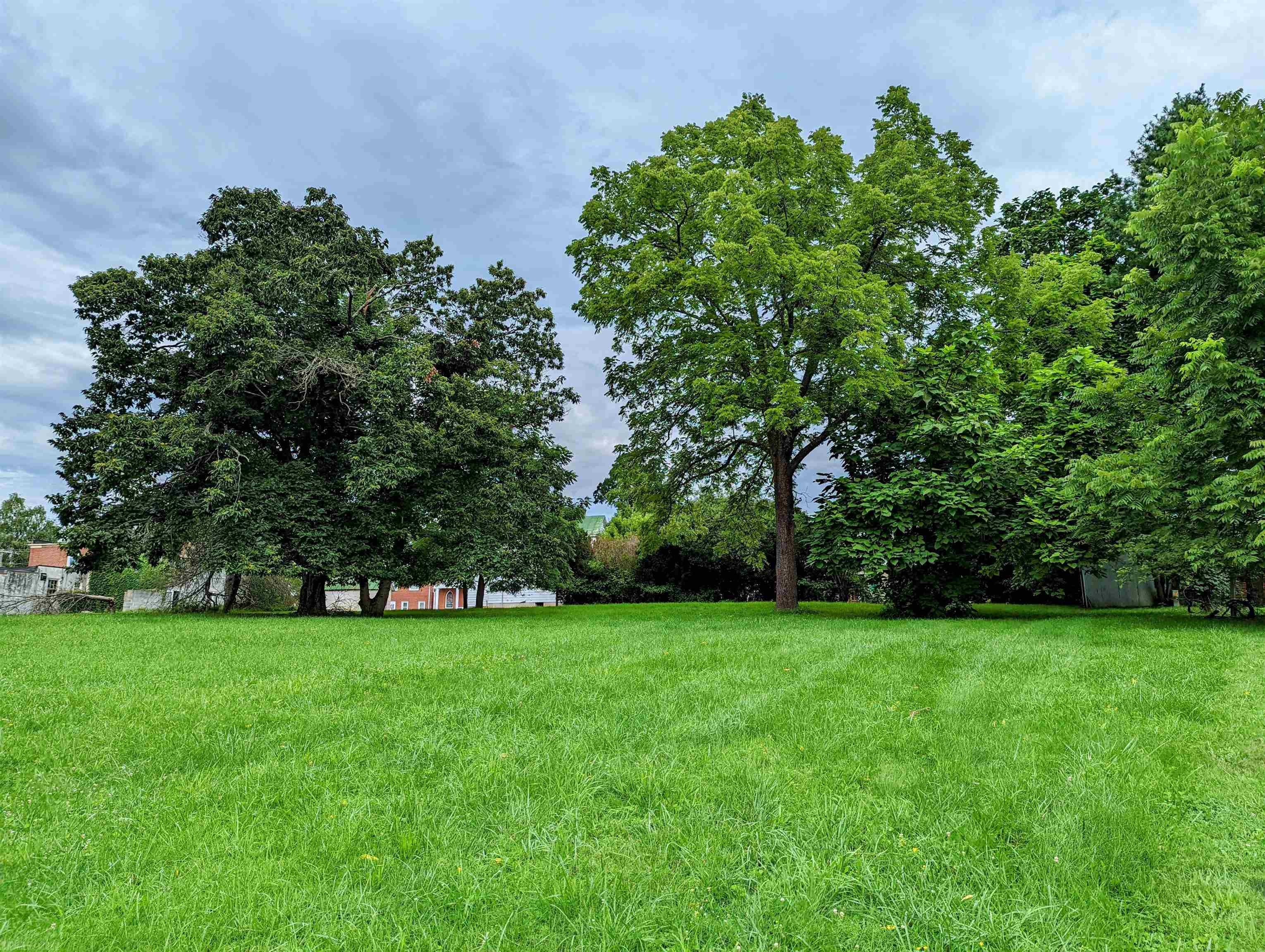 Tbd Barberry Road Southeast Floyd, VA 24091 - Photo 3 of 6 Gallery Image 3