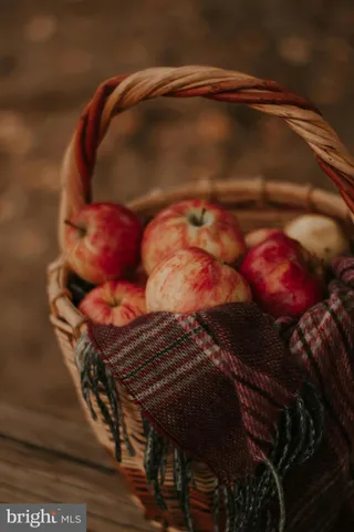 $534,900 | 0 Old Harrisburg Road, York Springs, PA 17372