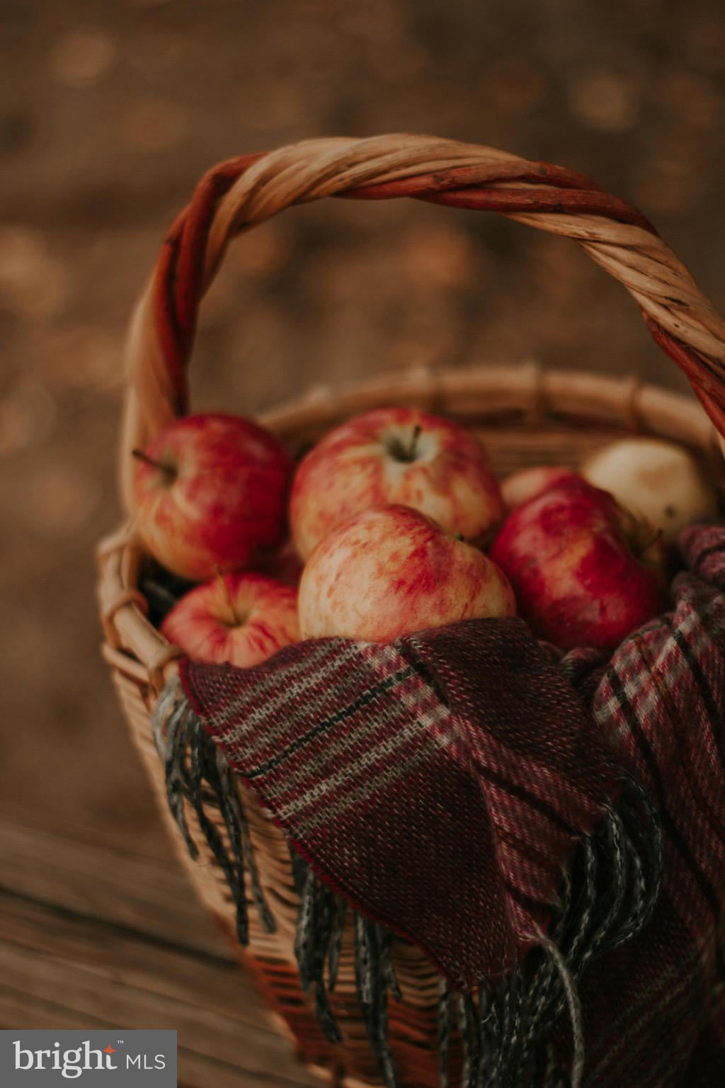 0 Old Harrisburg Road York Springs, PA 17372 - Photo 39 of 49