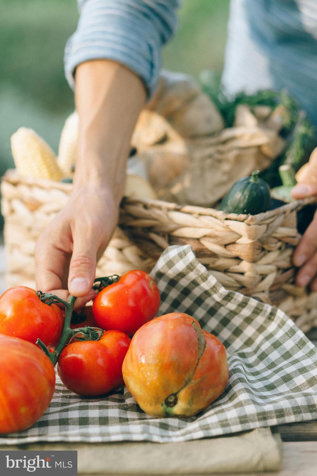 0 Old Harrisburg Road York Springs, PA 17372 - Photo 43 of 49