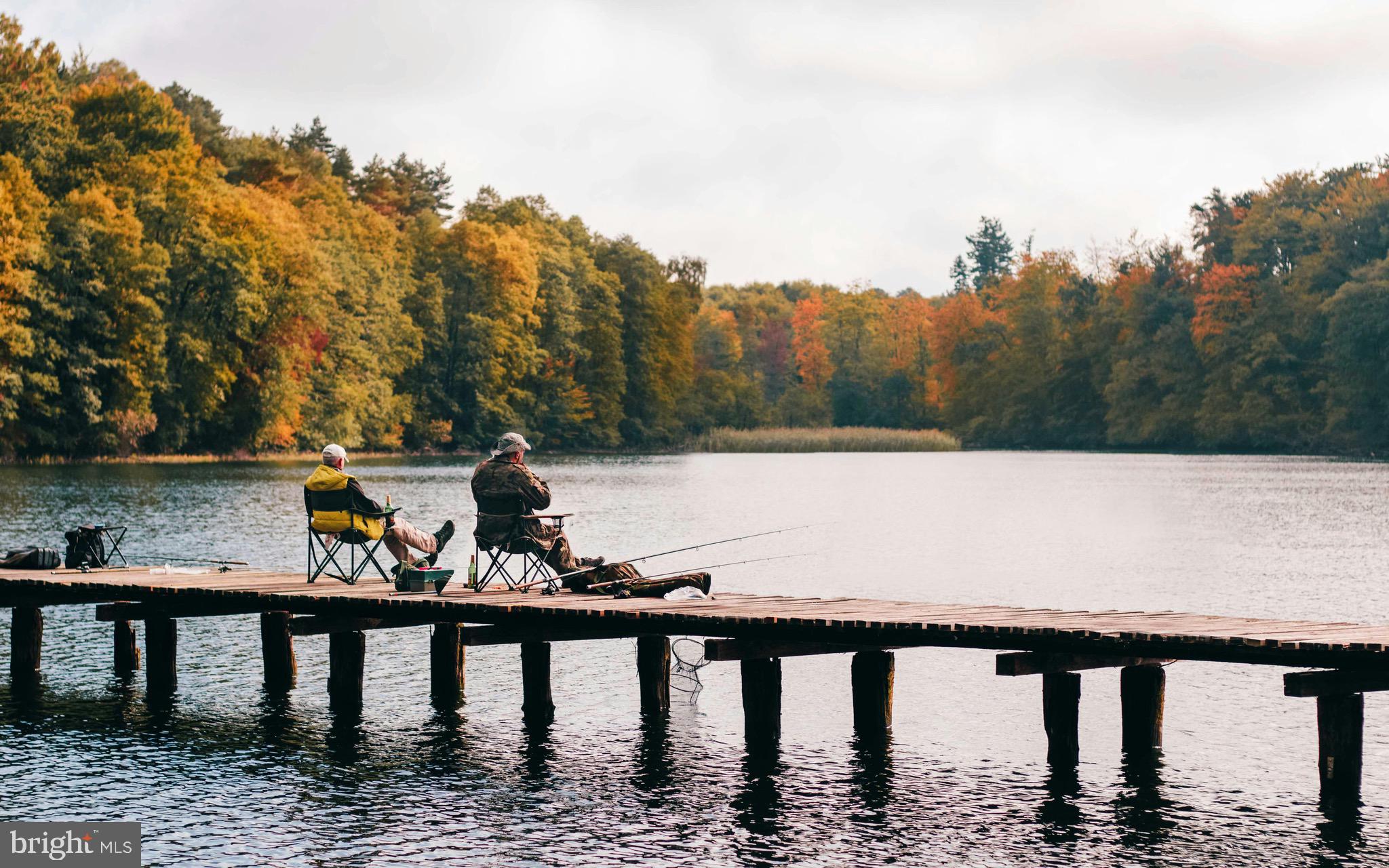 0 Old Harrisburg Road York Springs, PA 17372 - Photo 47 of 49 a view of swimming pool with lake and trees in the background