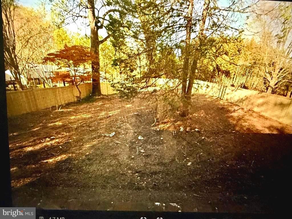 709 Greyrock Drive Silver Spring, MD 20910 - Photo 2 of 4 a view of yard