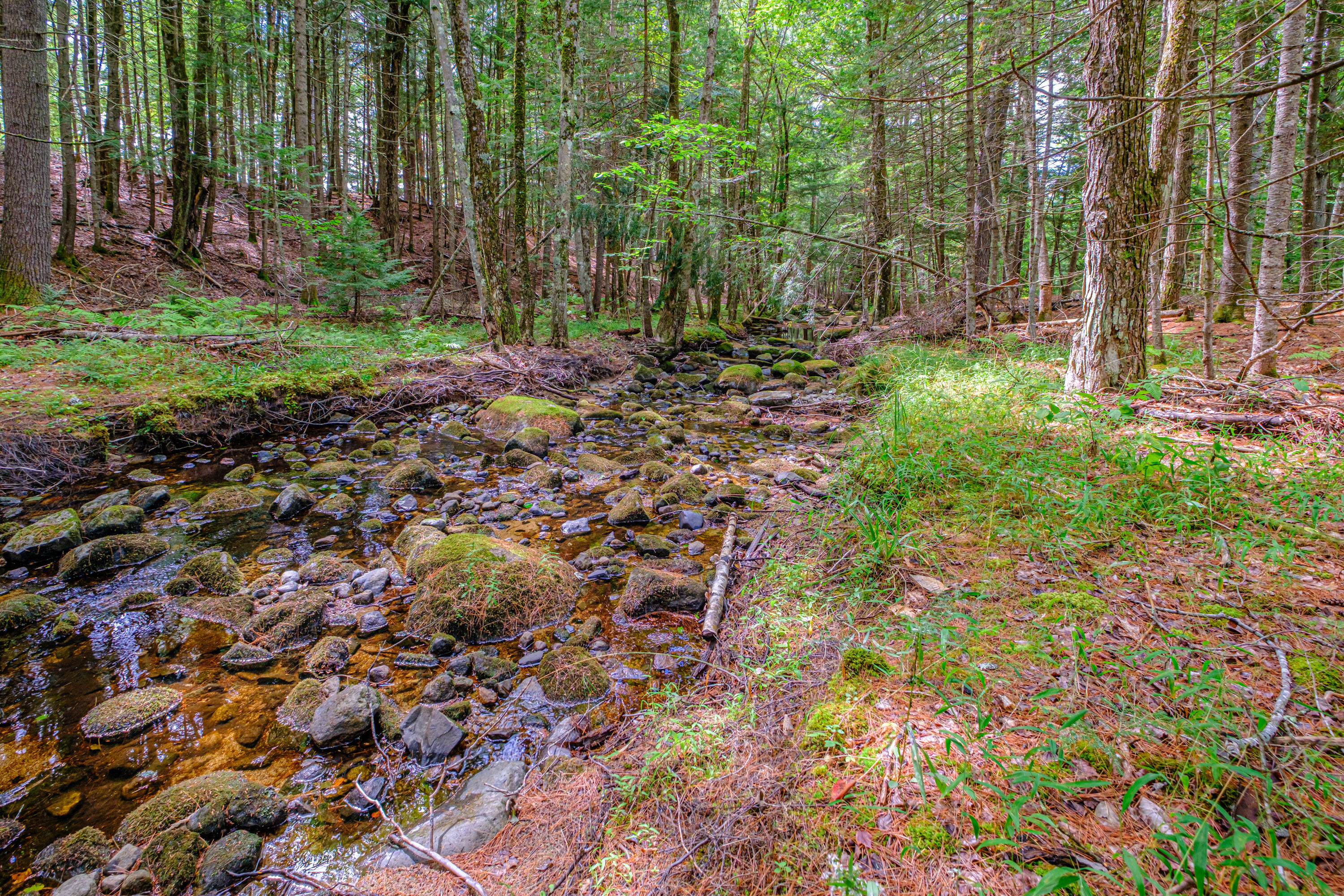 507 Norway Road Harrison, ME 04040 - Photo 65 of 71 20250908gp-60064