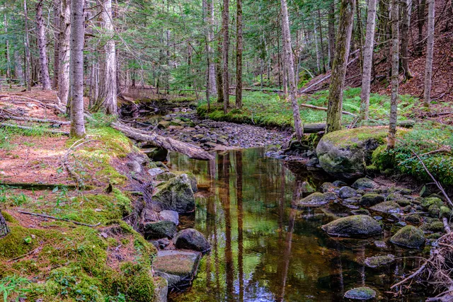 $549,000 | 507 Norway Road, Harrison, ME 04040