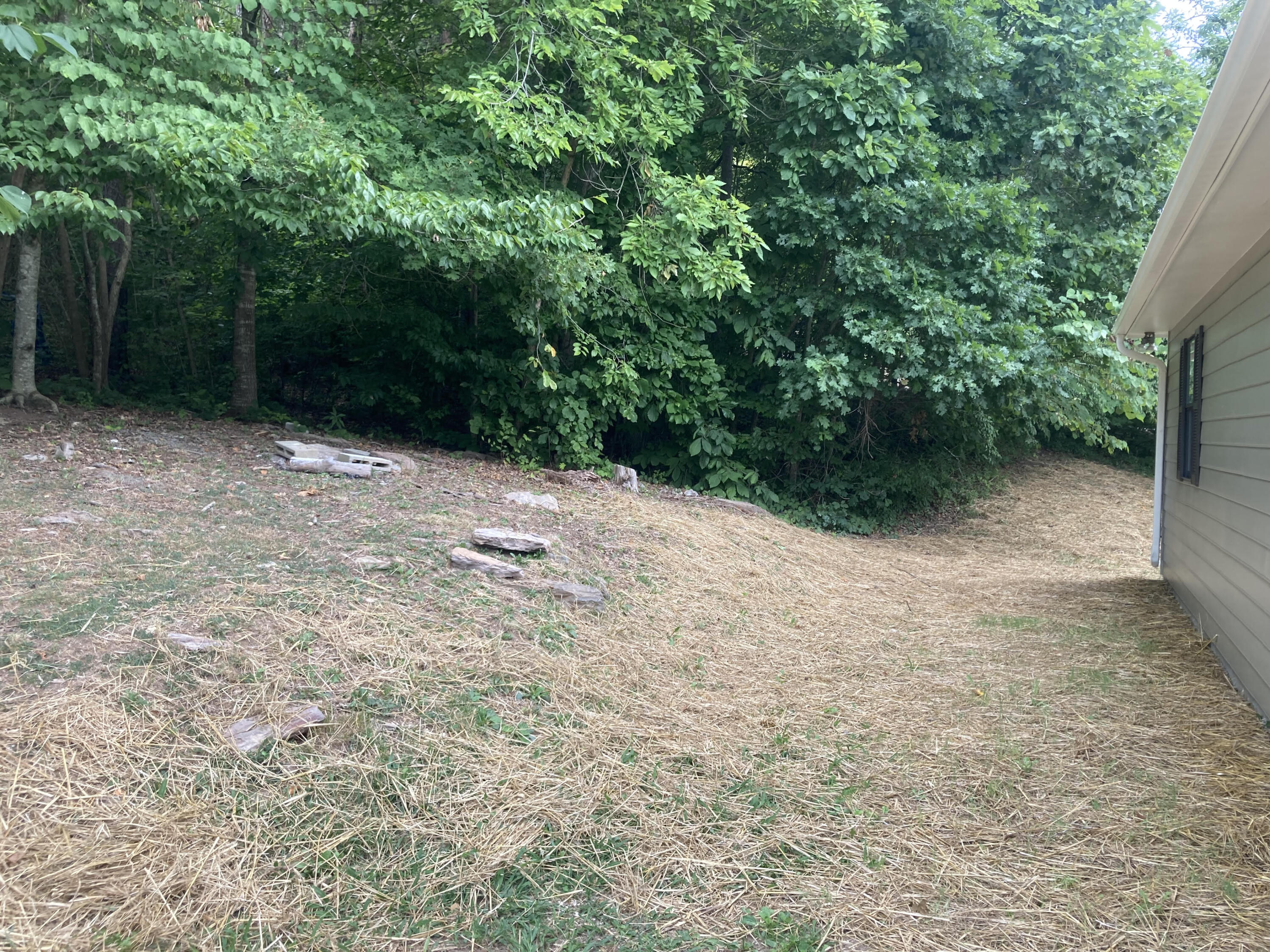 104 Lynn Drive Maynardville, TN 37807 - Photo 15 of 15 Side Yard