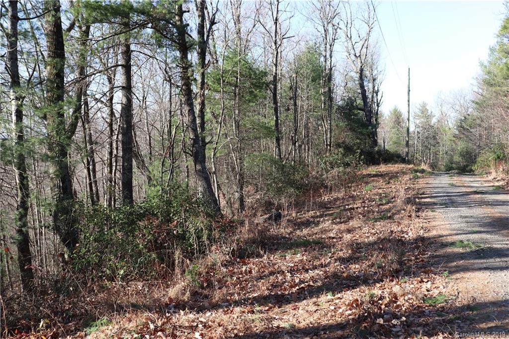 77 Long Ridge Trail Lenoir, NC 28645 - Photo 11 of 30 Gallery Image 11