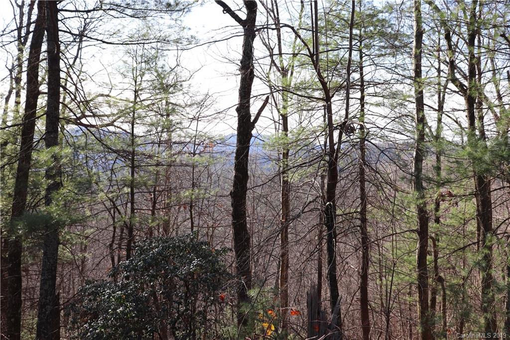 77 Long Ridge Trail Lenoir, NC 28645 - Photo 12 of 30 Gallery Image 12
