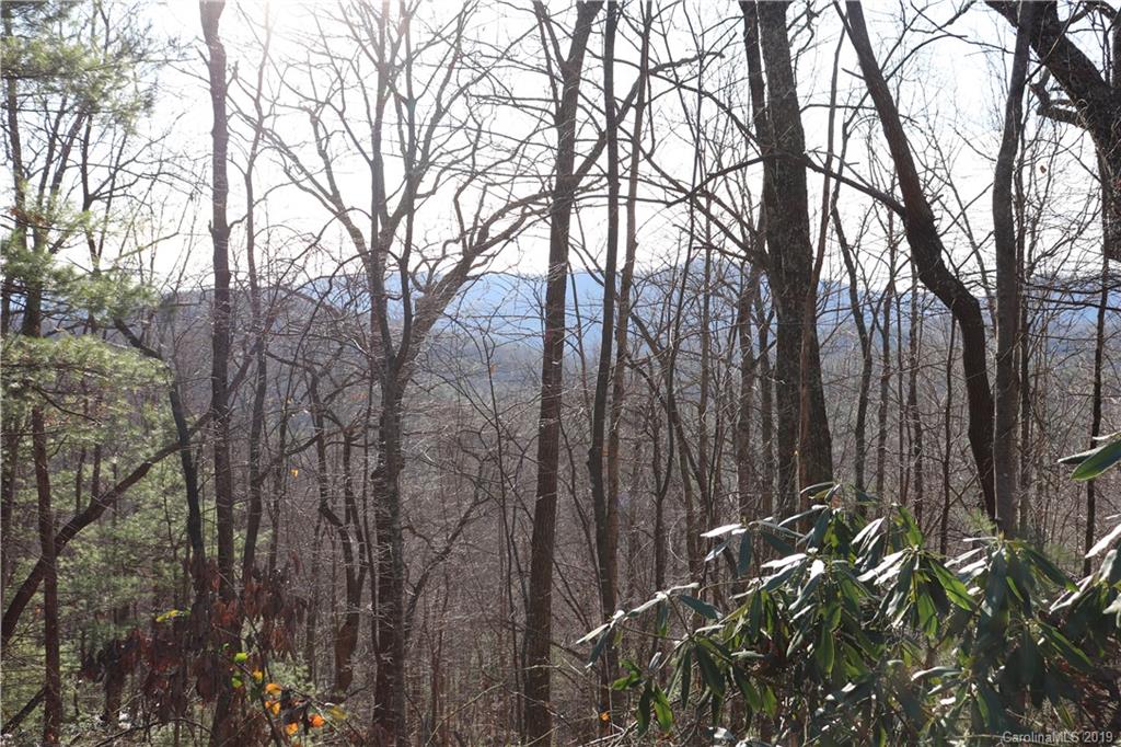 77 Long Ridge Trail Lenoir, NC 28645 - Photo 13 of 30 Gallery Image 13