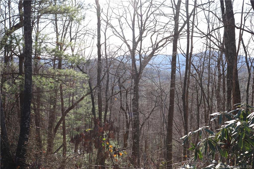77 Long Ridge Trail Lenoir, NC 28645 - Photo 14 of 30 Gallery Image 14