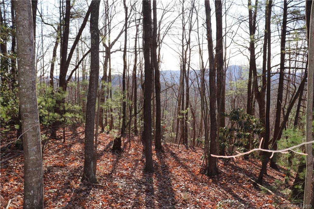 77 Long Ridge Trail Lenoir, NC 28645 - Photo 15 of 30 Gallery Image 15