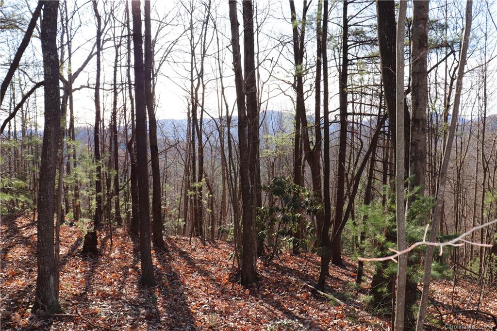 77 Long Ridge Trail Lenoir, NC 28645 - Photo 16 of 30 Gallery Image 16