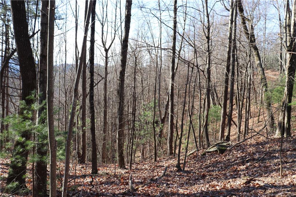 77 Long Ridge Trail Lenoir, NC 28645 - Photo 17 of 30 Gallery Image 17
