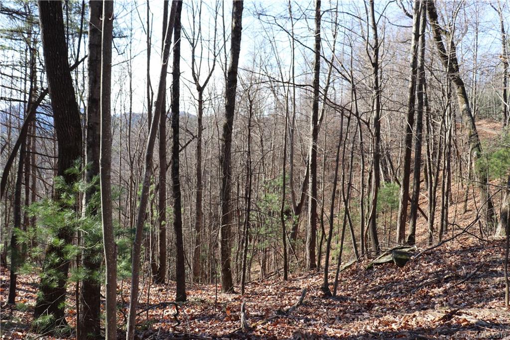 77 Long Ridge Trail Lenoir, NC 28645 - Photo 18 of 30 Gallery Image 18