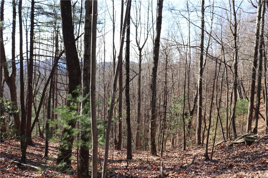 77 Long Ridge Trail Lenoir, NC 28645 - Photo 19 of 30 Gallery Image 19