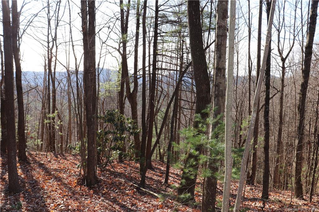 77 Long Ridge Trail Lenoir, NC 28645 - Photo 20 of 30 Gallery Image 20